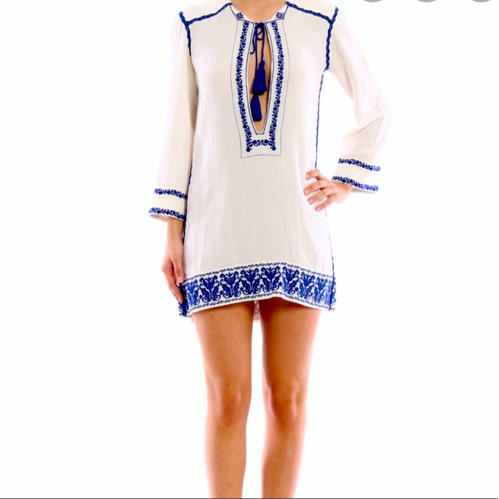 Isabell Marant Embroidered Dress